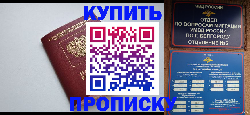 прописка регистрация в Соколе